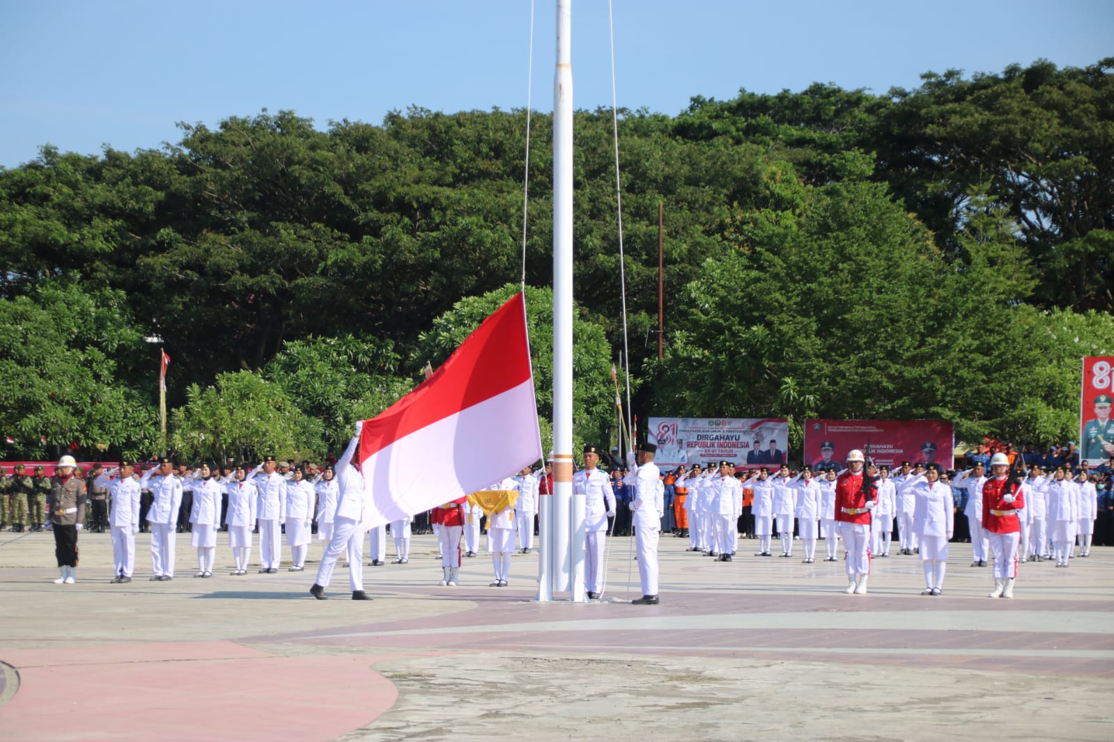 Blog Image 1